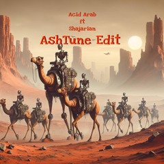 Acid Arab Ft Shajarian