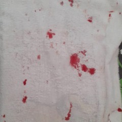 como não gostar dessa minha vida