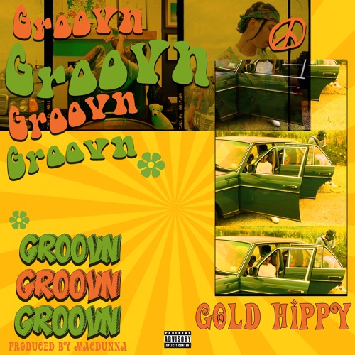 Gold Hippy - Groovn