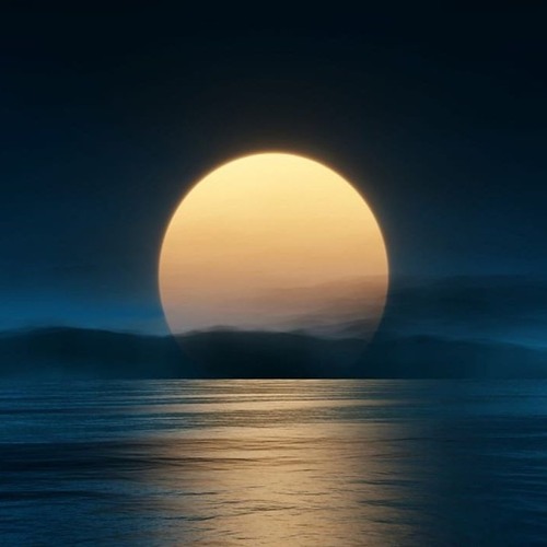 Midnight Sun