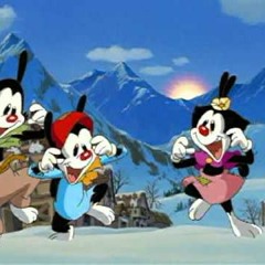 The Wishing Star Song (Wakko's Wish)