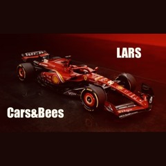 Cars&Bees