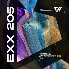 Normtone, Wayward Brothers - Move [Preview]
