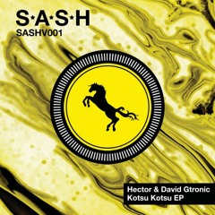 Kotsu Kotsu - SASHV001 - David Gtronic & Hector