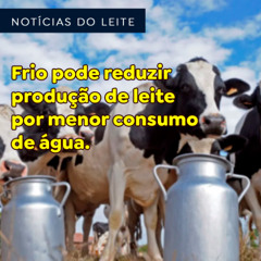 Frio pode reduzir produção de leite por menor consumo de água