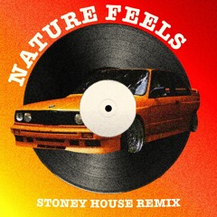 Frank Ocean - Nature Feels (Stoney House Remix)
