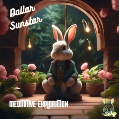 Dallar Sunstar - Meditative Exploration (Mr Silky's LoFi Beats)