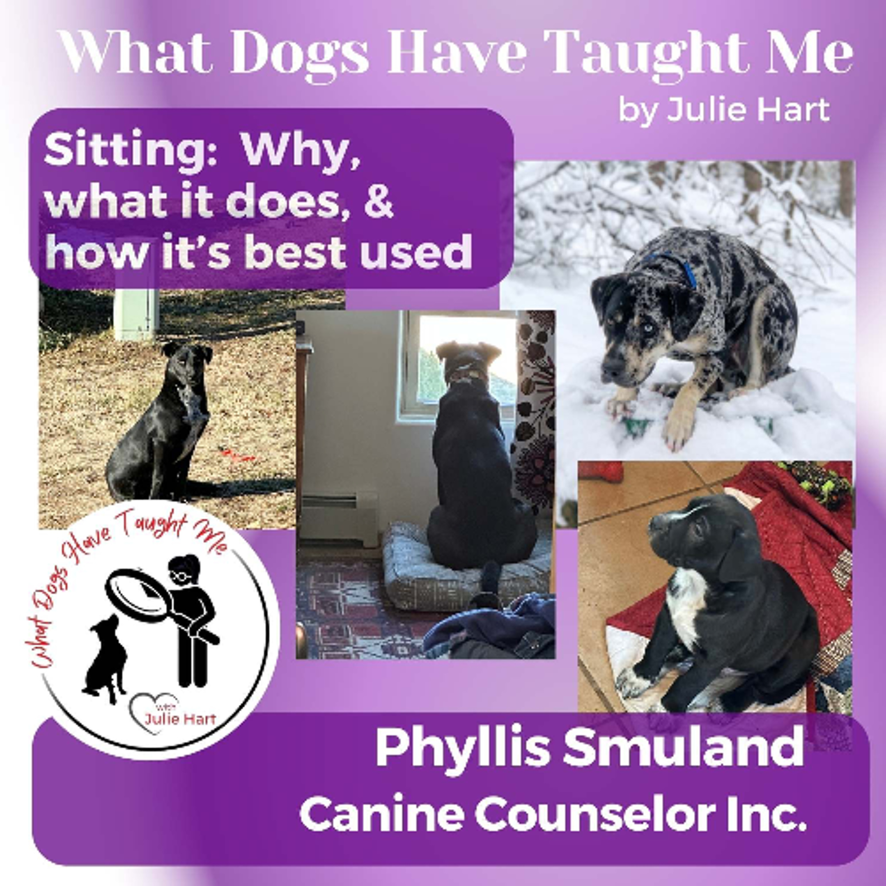 What Dogs Have Taught Me