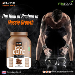 The Best Creatine Types for Strength and Muscle Growth