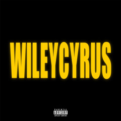 wileycyrus-holly.m4a