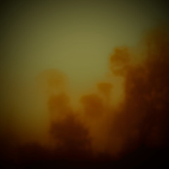 The Dissolving Light