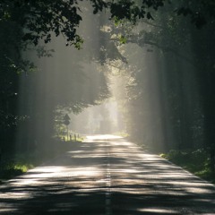 Imaginary Path