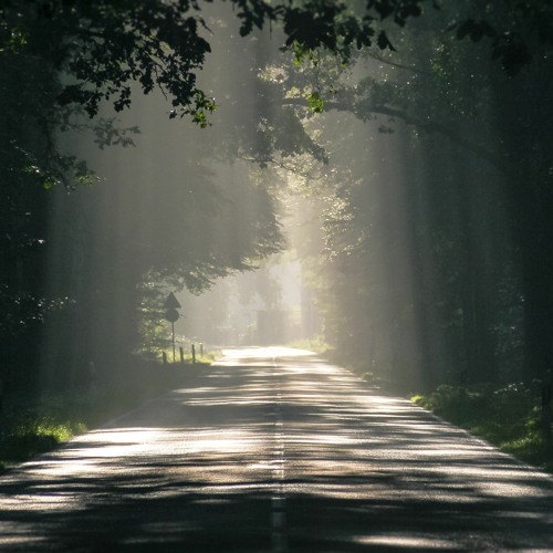 Imaginary Path