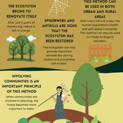 Getting Green with Microforests While Keeping Ticks at Bay