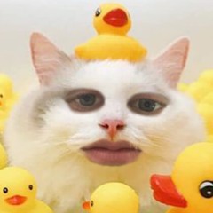 THERE'S NO SPEED LIMIT WHEN YOU'RE LISTENING TO DRUM AND BASS