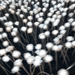 아팠던 나와의 작별