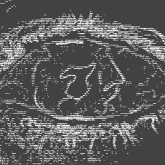 to be awoken from a dogmatic slumber