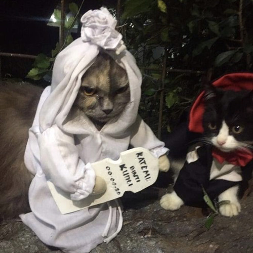 NONSTOP MIX THAI | PLUTO | JOKER | V8 DJRIZ