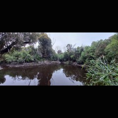 2024.12.11 Second Dawn at Platypus Waterholes. Early Summer.