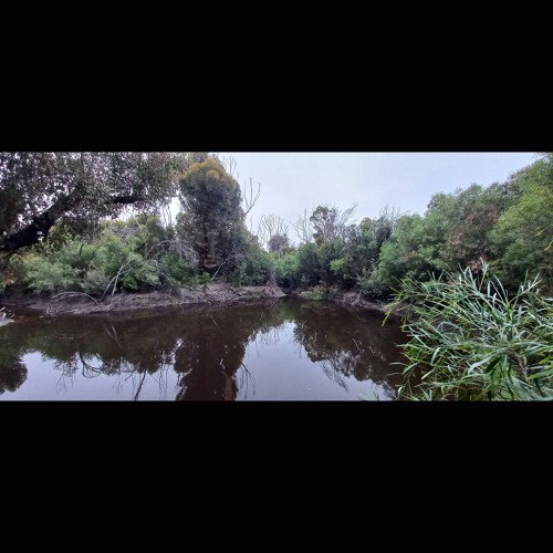 2024.12.11 Second Dawn at Platypus Waterholes. Early Summer.
