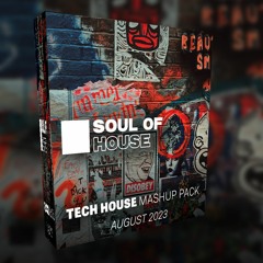 TECH HOUSE MASHUP PACK | AUGUST 2023 [SoulOfHouse Selection]
