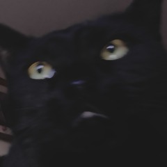 shadow of the city (prod. jozze)