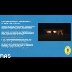 BAD BUNNY - LO QUE LE PASÓ A HAWAii (Visualizer) | DeBÍ TiRAR MáS FOToS