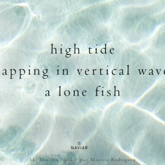 Water Is A Unique Species Of Fish (naviarhaiku430)