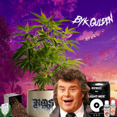 Royal Queen Seeds