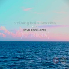 Nothing But A Session - Vol.15 Liquid Drum & Bass