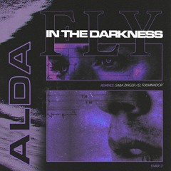 PREMIERE: Alda - Fly In The Darkness (El Fulminador Blue Mix) [Dogs & Vultures]