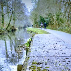 small blessings (ft. rain)