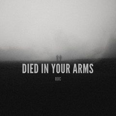 Died In Your Arms (Radio EDIT)