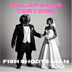 Galapagos Tortoise (Instrumental)