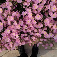 raindrops [When heaven is crying]