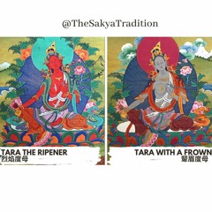 Brief Intro of The 21 Taras Tara The Ripener and Tara With A Frown