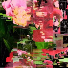 si vos tuvieras p. vare