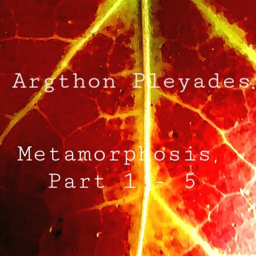 Metamorphosis Pt. 5