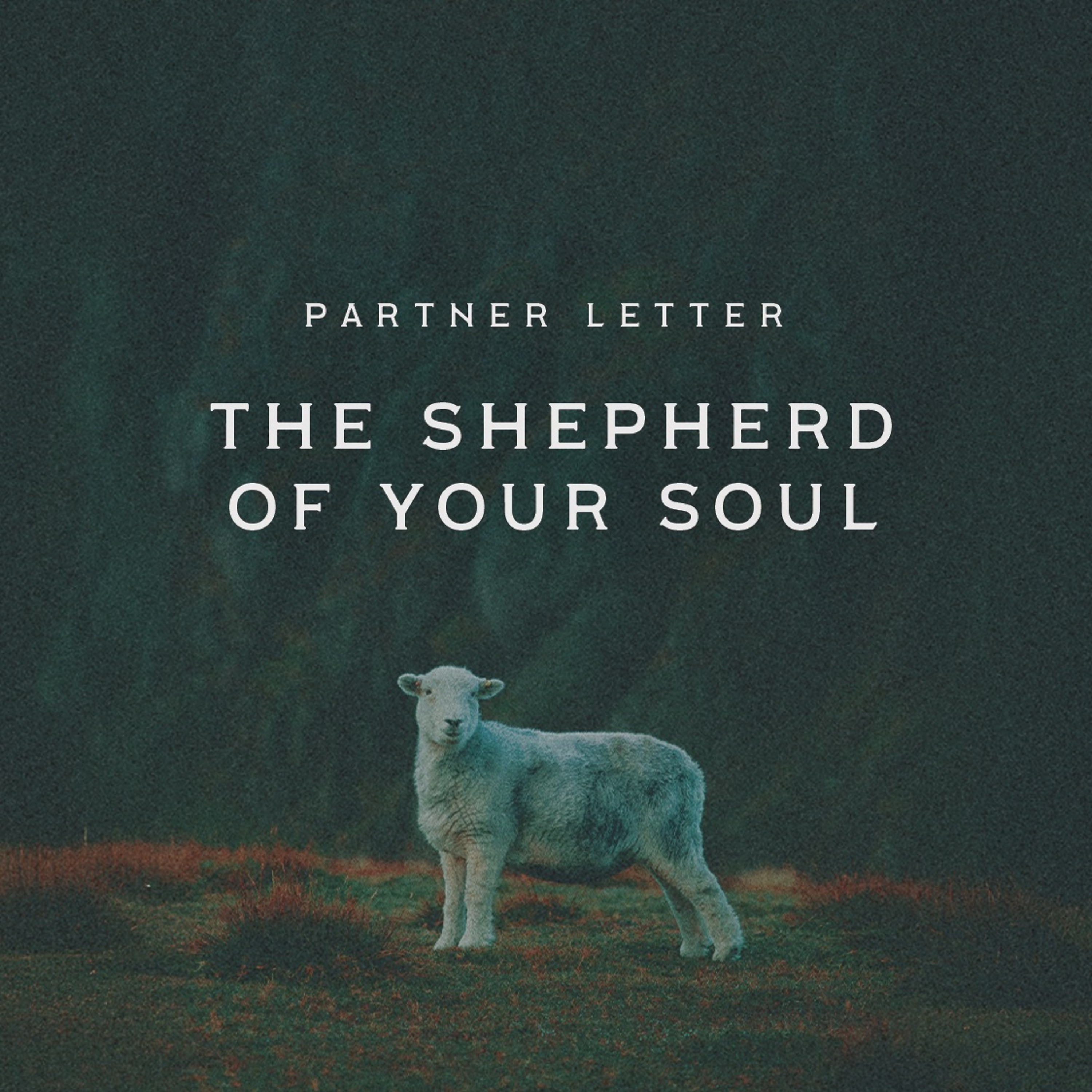 The Shepherd of Your Soul | January 2026 Partner Letter