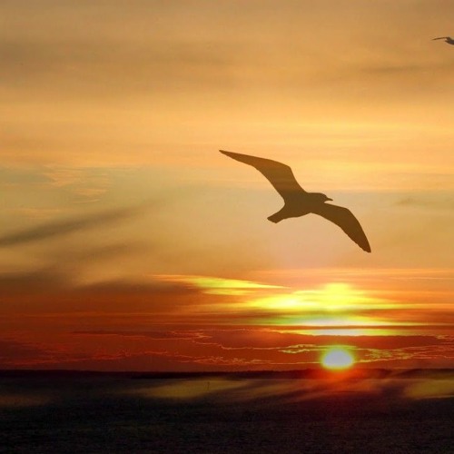 Moments on Halcyon (Orbital Revisioned Mix)