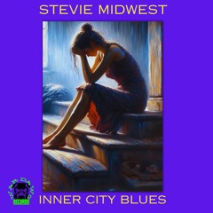 Stevie Midwest - Inner City Blues (Produced by FlipMagic)