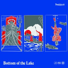 Bottom Of The Lake
