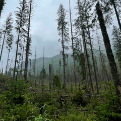 Ancient Flow by WALL-e