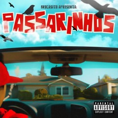 Brocasito - Passarinhos