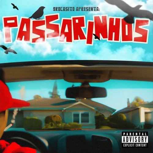 Brocasito - Passarinhos