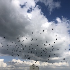 تلاوة من سورة الصافات للشهيد محمد زكي حمد.