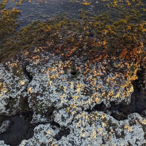 And So Every Night It Rains, And I Wallow In A Dance Of Melancholy