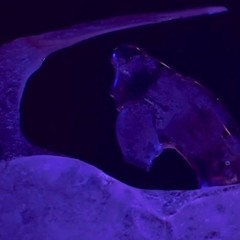 Isomalt (broken)