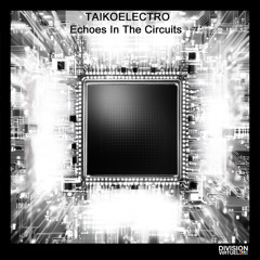 TL PREMIERE : TaikoElectro - Spartacus888 [Division Virtuel Records]