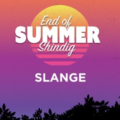 Slange @.End Of Summer Shindig Volts Hemel Hempstead 28th September 2024